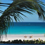 <b>Harbour Island e le Spiagge di North Eleuthera </b>