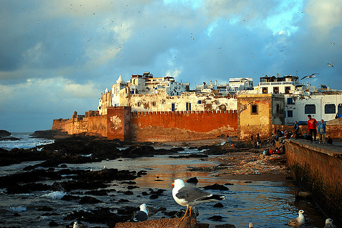 Essaouira-by-Dave_B_