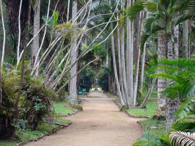 Photo of Jardim Botânico in Rio de Janeiro