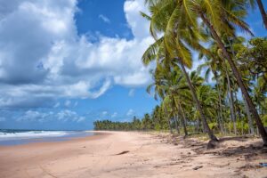 On-the-Road a Bahía: Ilhéus e le Remote Spiagge di Barra Grande - Itinerario di Viaggio