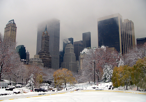 Central Park in Winter, New York 
