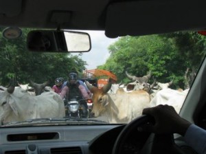 Travelling by Car in India