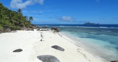 Quando Piove alle Seychelles: Il Periodo ed i Mesi Migliori per Andare alle Seychelles
