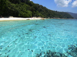 A Picture of Turtle Bay, Perhentian Besar
