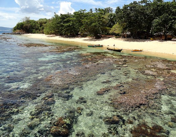 The Reef from the Pier of Coral Eye, Pulau Bangka, North Sulawesi, Indonesia