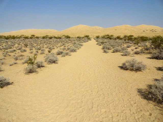 View of Kelso Dunes from Kelso Dunes Trailhead, Mojave Preserve, California