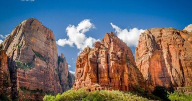 Zion National Park: le 2 Passeggiate Più Facili e le Gite a Cavallo