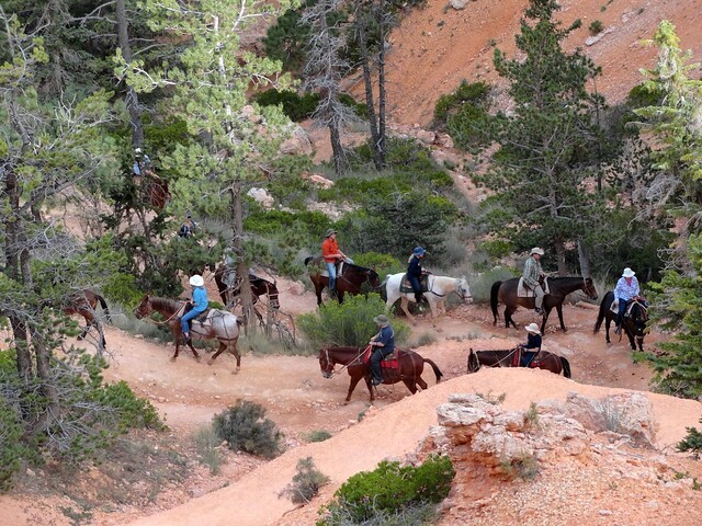 Horse Riding on Peek A Boo Loop, Bryce Canyon National Park, Utah