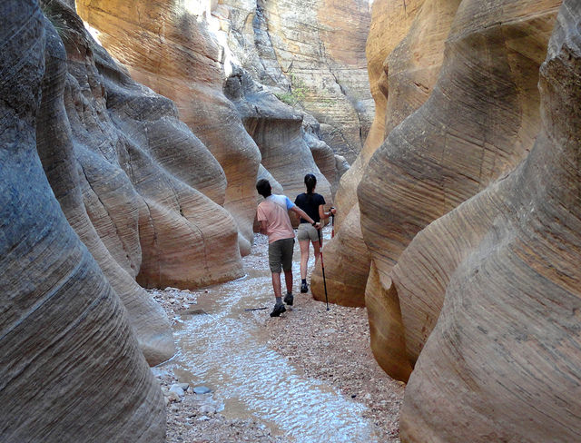 First Narrows in Willis Creek Canyon in Grand Staircase Escalante NM in Utah