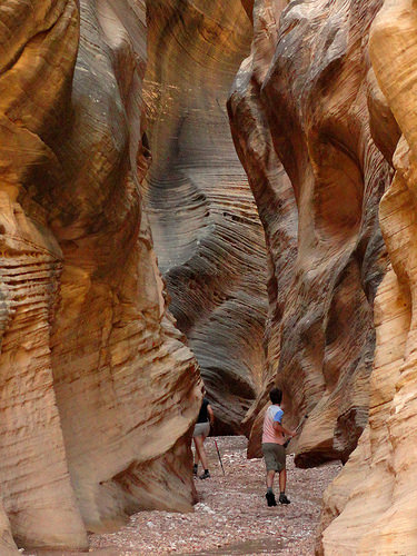 Inside the Slot in Willis Creek Canyon in Grand Staircase Escalante National Monument in Utah