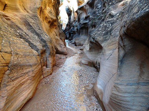 Permanent stream in Willis Creek Canyon in Grand Staircase Escalante National Monument in Utah