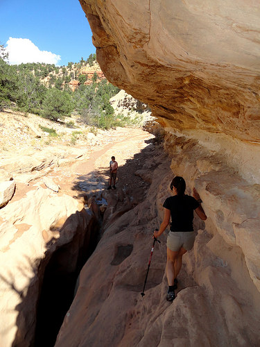 The fall in Willis Creek Canyon in Grand Staircase Escalante National Monument in Utah