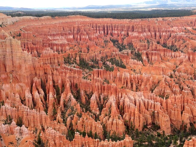 View of Bryce Amphitheater from the Rim Trail, Bryce Canyon National Park, Utah