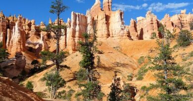 Bryce Canyon: l’Escursione al Navajo Loop e Queens Garden Trail