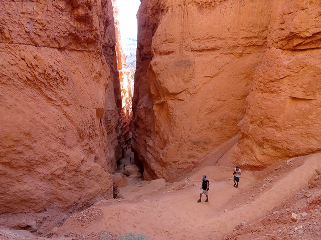 Bryce Canyon, l’Escursione al Navajo Loop e Queens Garden Trail