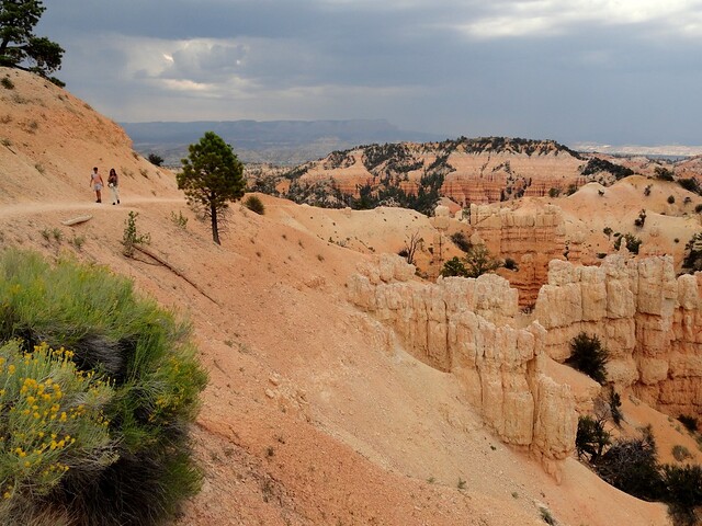Fairyland Trail from Fairyland Point, Bryce Canyon National Park, Utah