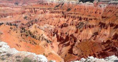 Cosa Fare e Cosa Vedere a Cedar Breaks National Monument nello Utah