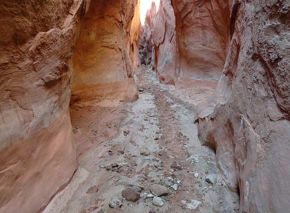 Dry Fork Narrows in Grand Staircase-Escalante National Monument in Utah, Southwest USA, North America