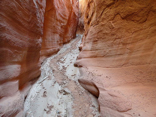 Dry Fork Narrows, Dry Fork of Coyote Gulch, Grand Staircase-Escalante National Monument, Utah