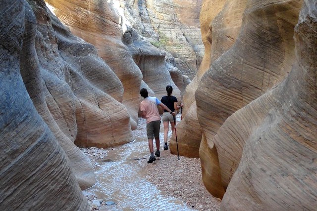 La Favolosa Escursione a Willis Creek Slot Canyon