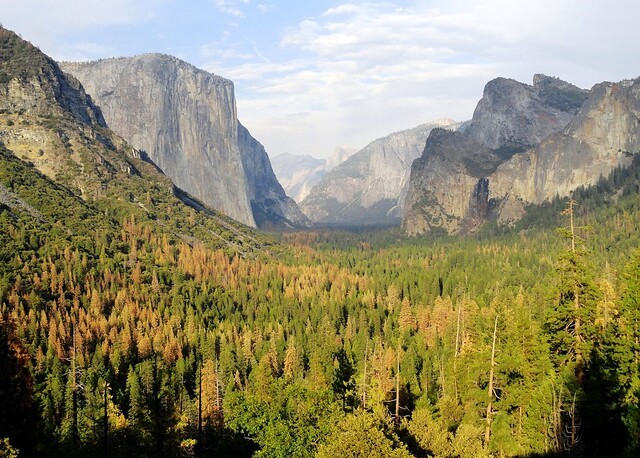 Dove Dormire e Come Spostarsi a Yosemite National Park
