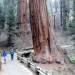 <b>Le 4 Escursioni Più Belle a Sequoia e Kings Canyon</b>