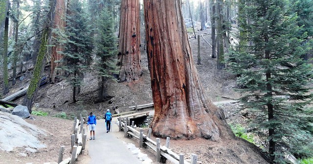Le 4 Escursioni Più Belle a Sequoia e Kings Canyon National Parks