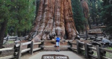 Sequoia: Escursione al General Sherman Tree
