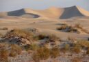 Death Valley: l'Escursione alle Dune di Mesquite