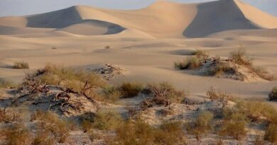 Death Valley: l'Escursione alle Dune di Mesquite