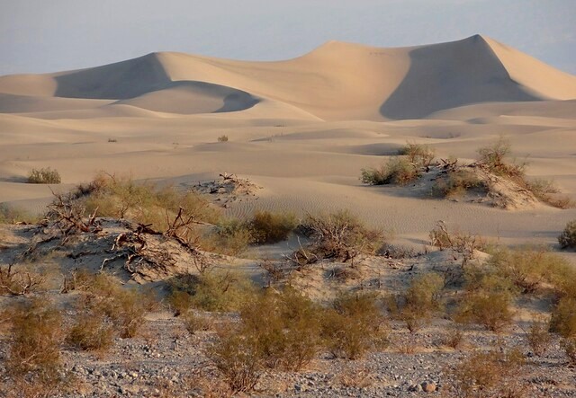 Escursione alle Dune di Mesquite nella Valle della Morte in California
