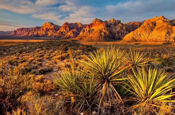 Red Rock Canyon National Conservation Area, near Las Vegas, Nevada, USA