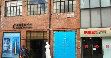I 4 Musei Più Interessanti di Shanghai e le Gallerie d’Arte di Moganshan Road
