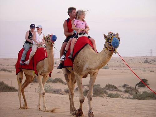 Camel Ride Desert Safari, Dubai Desert, United Arab Emirates