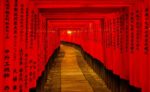 Il Fushimi Inari a Kyoto: Come Arrivare e Cosa Vedere