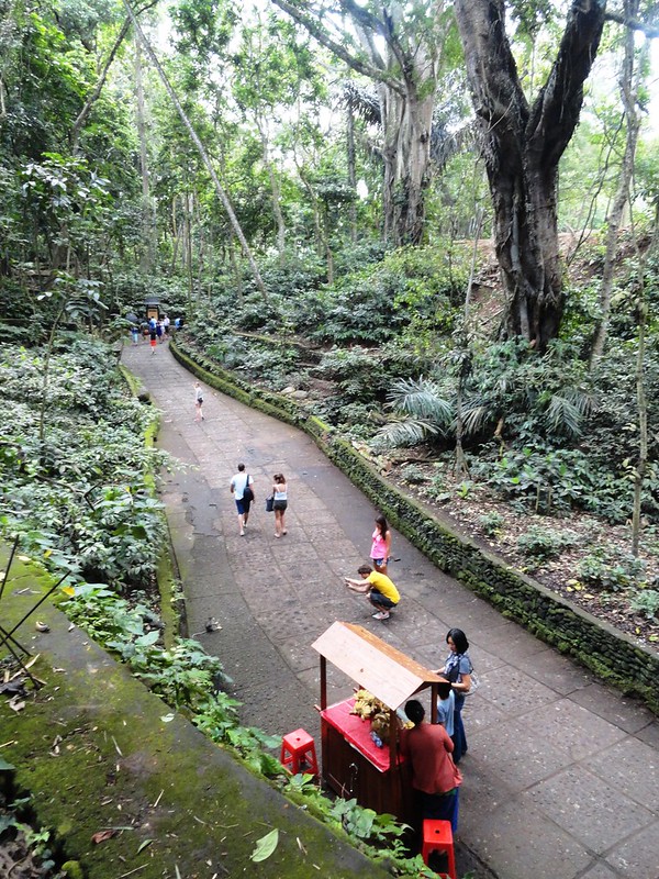 Monkey Forest from the pedestrian path to Nyuhkuning, Ubud, Bali, Indonesia