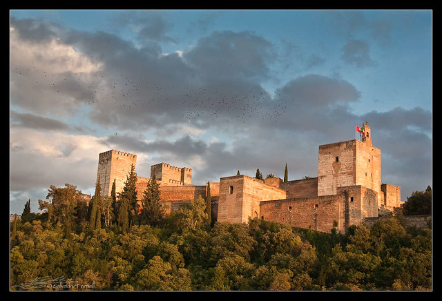 I 5 Posti da Non Perdere all’Alhambra