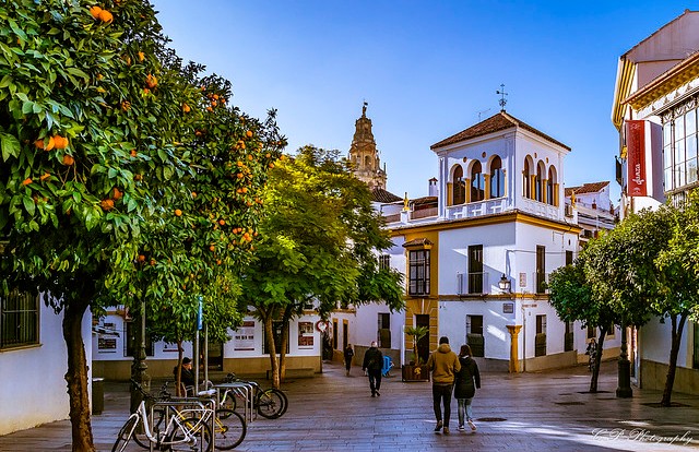 Dove Dormire a Córdoba in Andalusia: gli Alberghi Più Belli Vicino alla Mezquita 