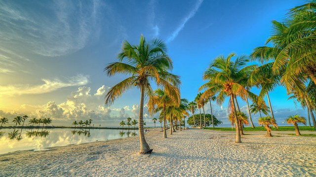 12 Posti da URLO da Non Perdere a Miami