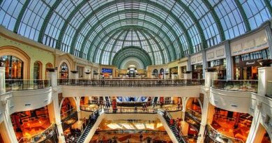 Dove Fare Shopping a Dubai: I 3 Migliori Shopping Malls di Dubai