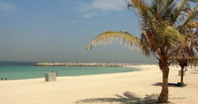 Le 6 Spiagge Più Belle di Dubai