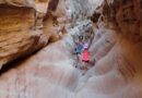 Escursione a Little Wild Horse Slot Canyon