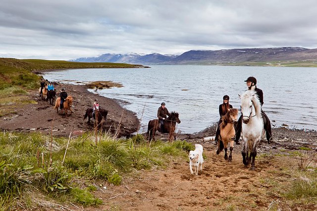 Horse Riding Tour with Horse Rental Skjaldarvík, Akureyri, North Iceland
