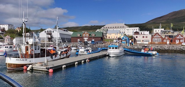 Húsavík, the Whale-watching Capital of Iceland