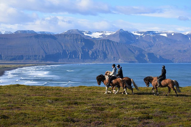 Saltvik Riding Tours, Húsavík, North Iceland