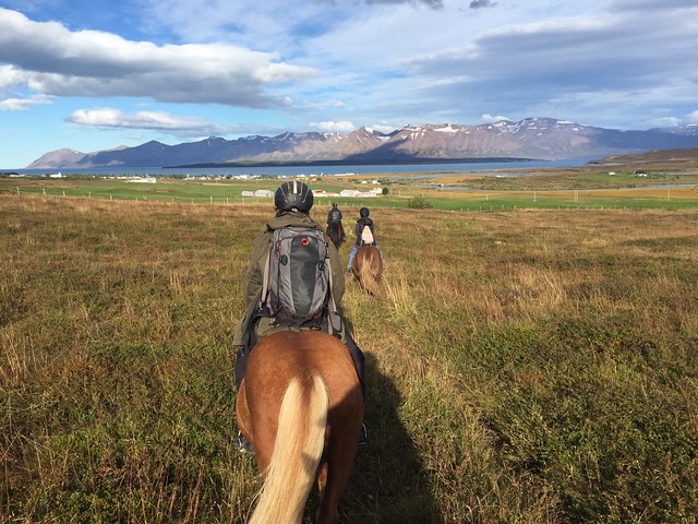 Horse Riding Tour with Tvistur Horse Rental, Akureyri, North Iceland