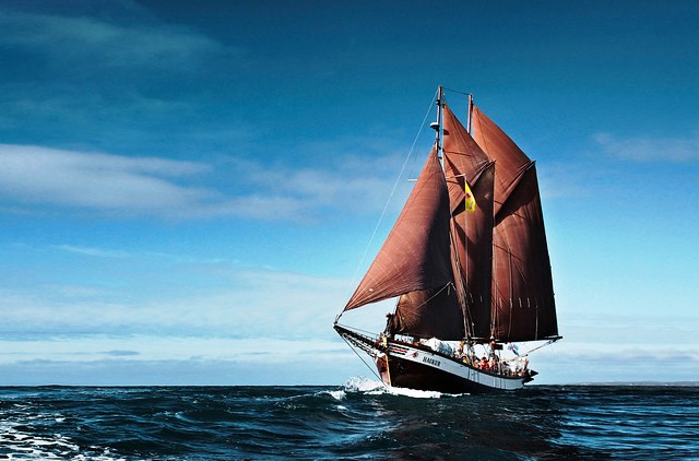 Whale Watching on a Traditional Oak Sailing Ship from Húsavík, North Iceland