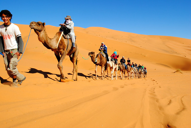 Camel Ride, Erg Chebbi, Merzouga, Sahara Desert, Morocco