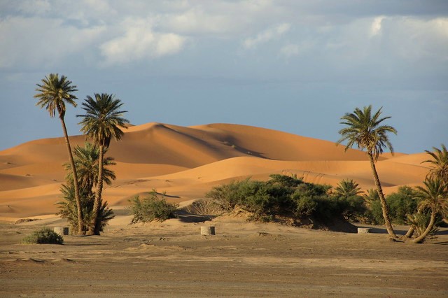 Sand Dunes, Erg Chebbi, Merzouga, Sahara Desert, Morocco