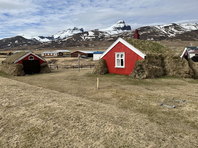 Come e Dove Vedere i Puffins a Borgarfjörður eystri in Islanda